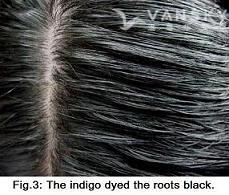 230120110328_Hair-Dyed with indigo-s.jpg